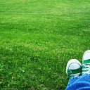 ���� ((Olvenolven)), ����������� - ��������� 31 ������� 2013 � ������ ���� ����������