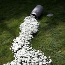 ���� Vasya, ����, 48 ��� - ��������� 15 ������ 2013 � ������ �New1�