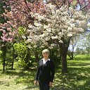 ���� ����, ������-��-����, 61 ��� - ��������� 3 ������ 2014 � ������ ���� ����������