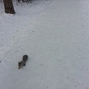  ,  -  26  2014     ,  