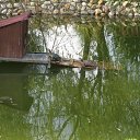 ���� ������, ������, 64 ���� - ��������� 21 �������� 2013 � ������ �� ����� ���� "�������" 18.09.2013�