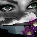 ���� ����, ���������� - ��������� 11 ������ 2013 � ������ ���� ����������