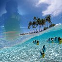 ���� �����, ��������� - ��������� 2 ������� 2013 � ������ ���� ����������