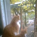 ���� ������, �����, 68 ��� - ��������� 29 ������ 2014 � ������ ���� ����������