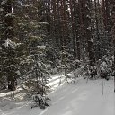 ����� �������� �� ������� ������� ���2014�