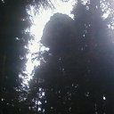 ����� �������� �� ������� ��฻