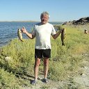 ���� �����, ������, 67 ��� - ��������� 11 ������ 2013 � ������ �������-2011�