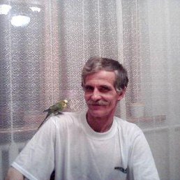 ���� ��������, ��������, 66 ��� - ��������� 16 �������� 2013