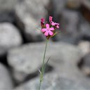 ���� �������(����������), ������� - ��������� 2 ����� 2014 � ������ ���� ����������