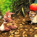 ���� .Iulia, ������� - ��������� 9 �������� 2013 � ������ ���������