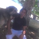 ���� Zoro Boss, �����, 50 ��� - ��������� 19 ������� 2014 � ������ ���� ����������