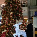 ���� �����, �������, 58 ��� - ��������� 24 ������ 2014 � ������ ������ ��������