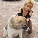 ���� ������, ���������, 70 ��� - ��������� 12 ������ 2014 � ������ ���� ����������