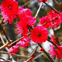 ���� ������, �����-���������, 61 ��� - ��������� 10 ����� 2014 � ������ ��������� ������, ������ 2012�