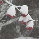 ���� ���������, ������, 65 ��� - ��������� 21 ������� 2014 � ������ �����