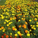 ���� �������, ����������� - ��������� 2 ������� 2013 � ������ ���������ʻ