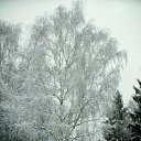 ������ ������ ���� �����... �� ������� ������������� �����