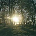 ���� ��������, �����-���������, 37 ��� - ��������� 21 ������� 2013 � ������ �������������