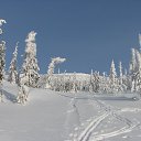 ���� ������ ����������, ����������, 78 ��� - ��������� 20 ������ 2014 � ������ ������� ��������. ��������.�