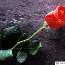 ���� ������, ������, 58 ��� - ��������� 11 ������� 2013 � ������ ���� ����������