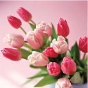 ���� �����, ��������, 38 ��� - ��������� 15 ������ 2013 � ������ ����� ��� ����))))�