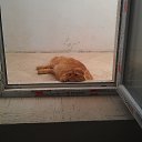 ������-������ �������.. �� ������� ����