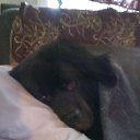 ���� �� ������� ���� ����������