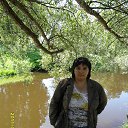 ���� ����, �����-���������, 49 ��� - ��������� 13 �������� 2013