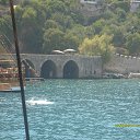 ���� ���������, �����������, 43 ���� - ��������� 8 ������� 2013 � ������ ���� ����������
