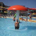 ���� ���������, �����������, 50 ��� - ��������� 15 �������� 2013 � ������ ���� ����������