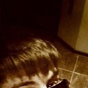 ���� ������, ������, 33 ���� - ��������� 22 ������� 2014 � ������ ���� ����������