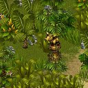   , , 36  -  17  2013   Tropikania