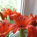 ��� ����� � ��� ����... ��������� �� �� ����� � ������� �� ���� �� ����������))
 �� ������� ������ ��������