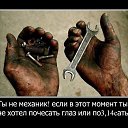 ���� �����, ��������� - ��������� 8 ������� 2013 � ������ ���� ����������