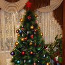 ���� ���. �� ������� ���� ����.�