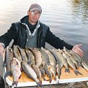 ���� �������, �����-���������, 38 ��� - ��������� 26 ������� 2014 � ������ ���� ����������