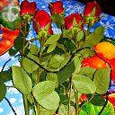 ���� ������� �., ����� - ��������� 8 ����� 2014 � ������ ������ ��������