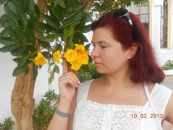  :  -  ( Super Star), 