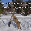 ���� �����, ������� - ��������� 22 ������� 2013 � ������ ������� ���� �������)))�