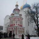 ���� ������, ���������, 49 ��� - ��������� 7 ������ 2014 � ������ ������-�������� �������� �����