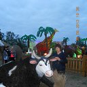 ���� �����, ���������� �����, 72 ���� - ��������� 30 ������� 2013 � ������ ���� ����������