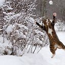 ���� �����, �������, 48 ��� - ��������� 5 ������� 2013 � ������ �)))�
