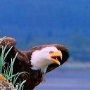  , , 56  -  16  2014   X