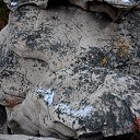 ���� Svann, ���������, 71 ��� - ��������� 6 ������� 2013 � ������ ������. ��. �������.�