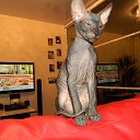 ���� Elena, ������ - ��������� 22 ������� 2014 � ������ ���� ����������