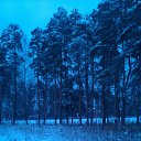 ������ ������� �� ������� ����� ��� ������������