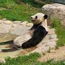 ���� �����, ������, 54 ���� - ��������� 25 ������� 2014 � ������ �FunnyAnimals�