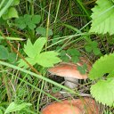 ���� ����, ������, 51 ��� - ��������� 21 ������ 2014 � ������ ���� ����������