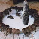   @, , 61  -  26  2013    