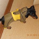 ��� ������ �� ������� ���� ����������